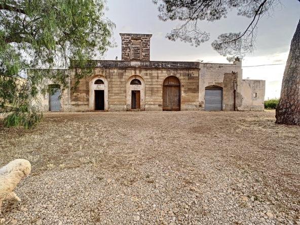 masseria a galatina temino premium properties (10)