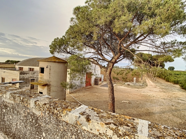 masseria a galatina temino premium properties (20)