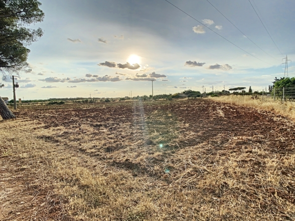 masseria a galatina temino premium properties (3)