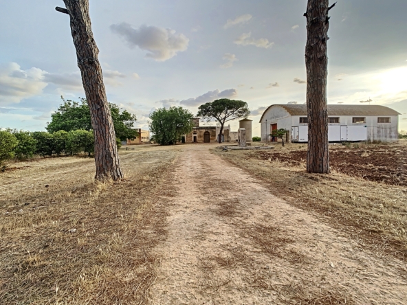 masseria a galatina temino premium properties (7)