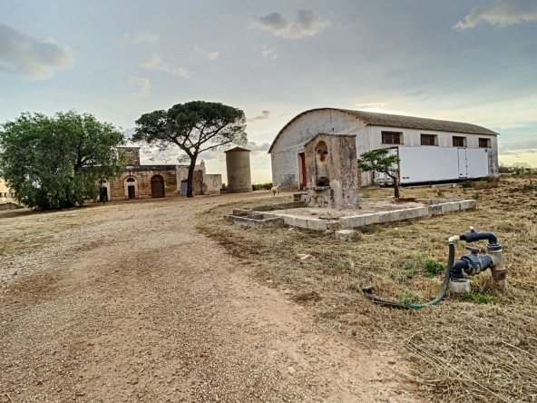 masseria a galatina temino premium properties (8)