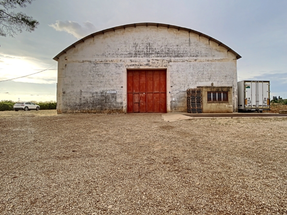 masseria a galatina temino premium properties (9)