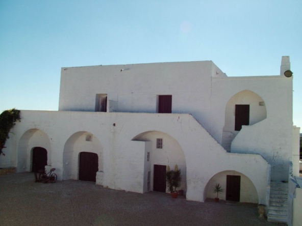 masseria ad avetrana temino premium (1)