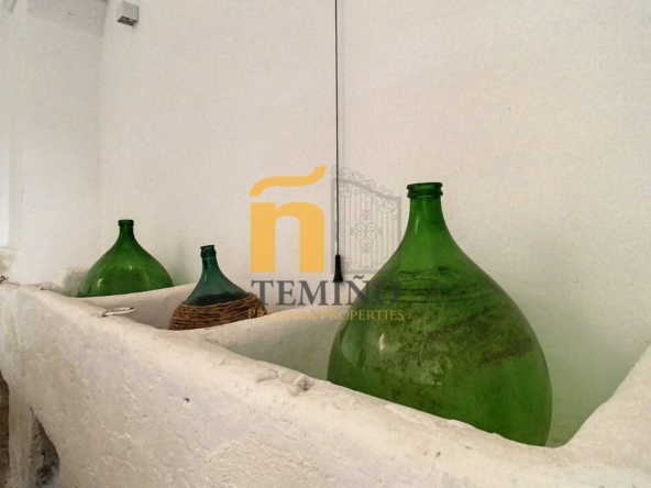 masseria in vendita san donaci salento temino premium properties10