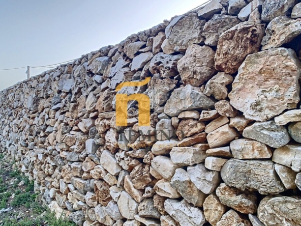 masseria in vendita san donaci salento temino premium properties2