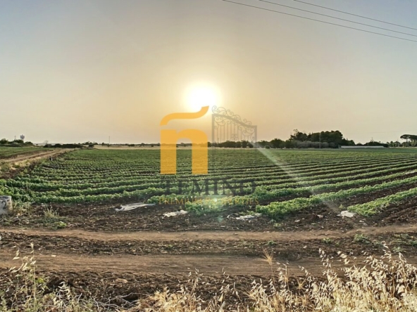 masseria in vendita san donaci salento temino premium properties4