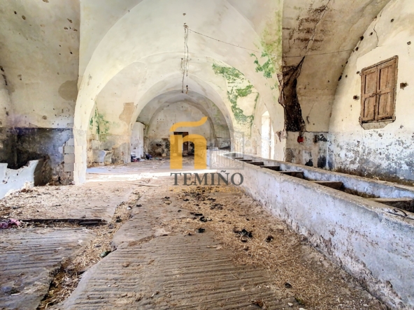 masseria Pumetti Lecce -temino premium properties (15)-min