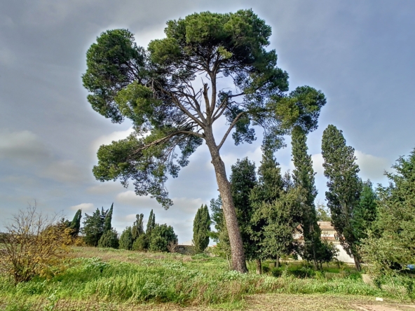 villa in vendita a Monteroni Copertino - temino premium properties (8)-min