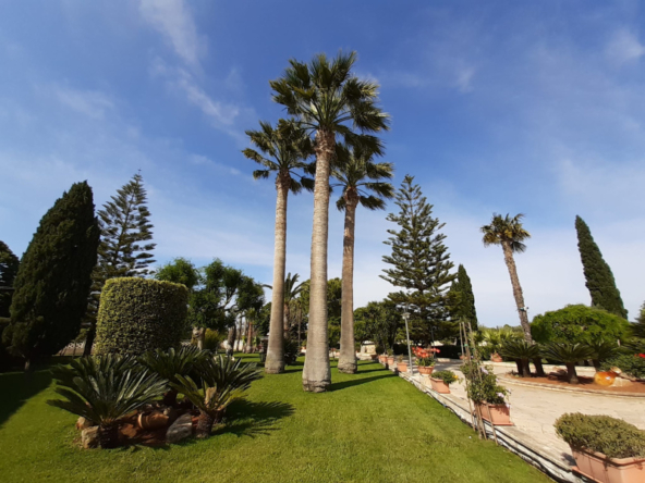 1799595_202305310827246999806m