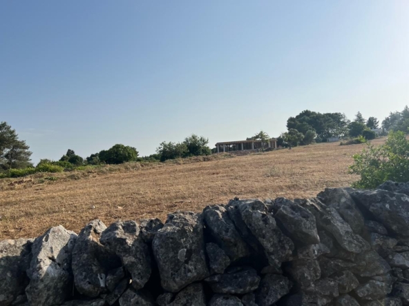 6f0dbd6a-5a4a-43cf-8511-266e0d9c89