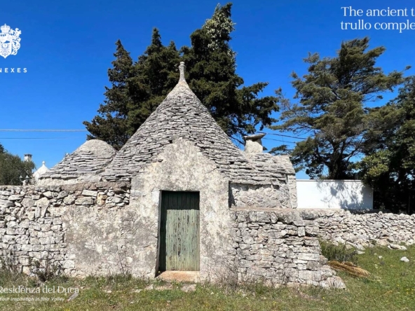 Immagine 2023-06-21 181916