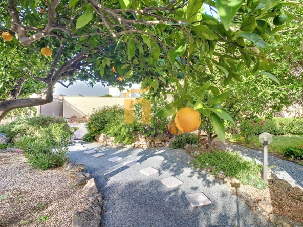 Villa di rappresentanza san donaci (15)-temino