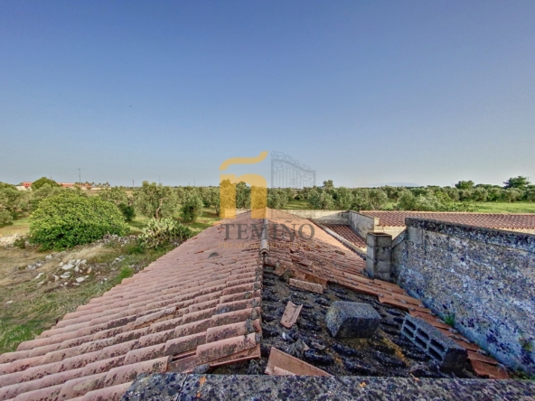 Masseria collepasso - temino (12)