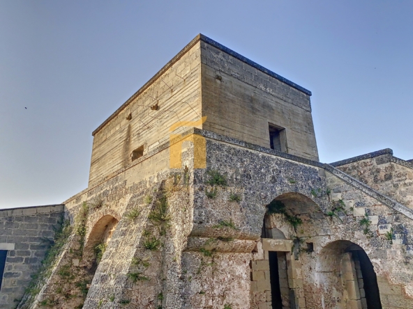 Masseria collepasso - temino (16)