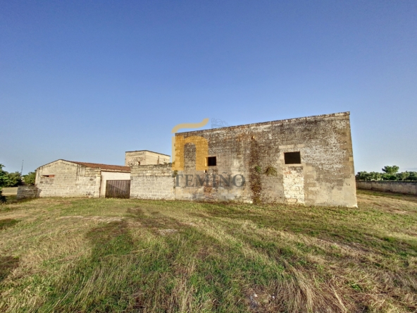 Masseria collepasso - temino (2)