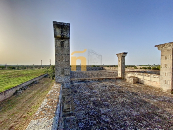 Masseria collepasso - temino (22)