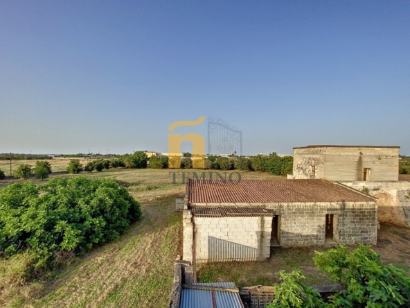 Masseria collepasso - temino (23)