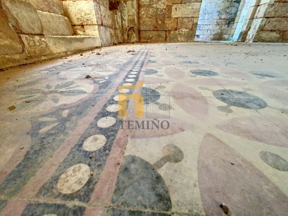 Masseria collepasso - temino (27)