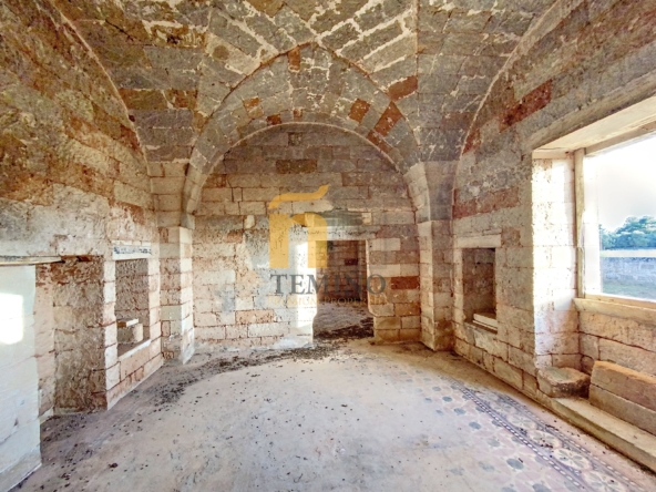 Masseria collepasso - temino (28)