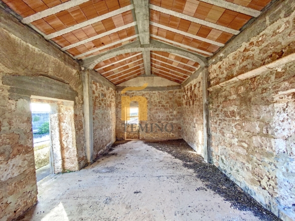 Masseria collepasso - temino (7)