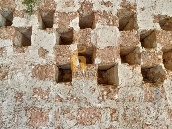 Masseria collepasso - temino (9)