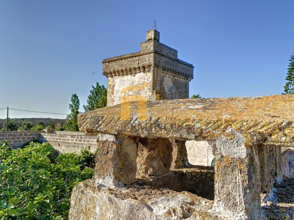 masseria la vecchia in vendita a ugento (13)