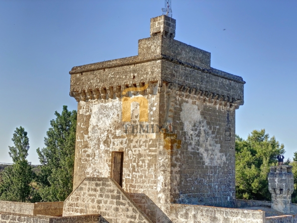 masseria la vecchia in vendita a ugento (15)