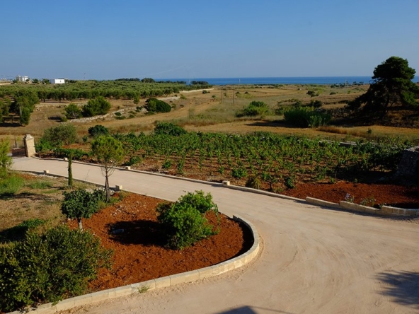 masseria-sant-antonio22