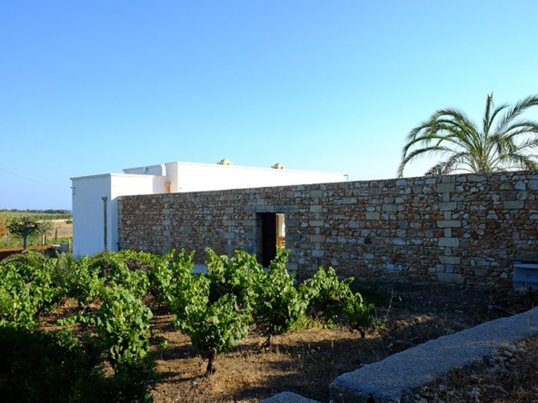 masseria-sant-antonio23
