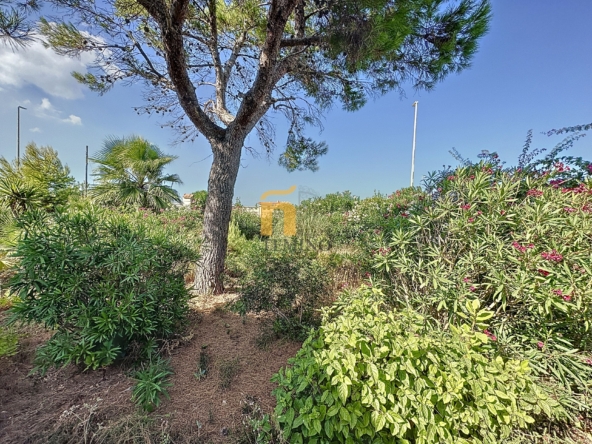 villetta in vendita a torre chianca (4)-min