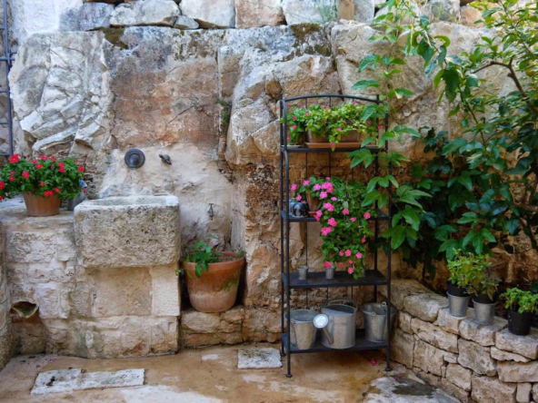 OSTUNI - Villa con piscina e parco - Teminopremiumproperties (4)