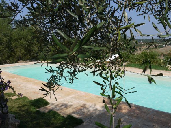 OSTUNI - Villa con piscina e parco - Teminopremiumproperties (43)
