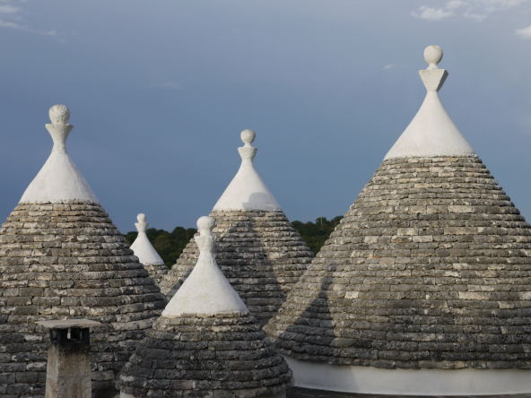 OSTUNI - Villa con piscina e parco - Teminopremiumproperties (47)