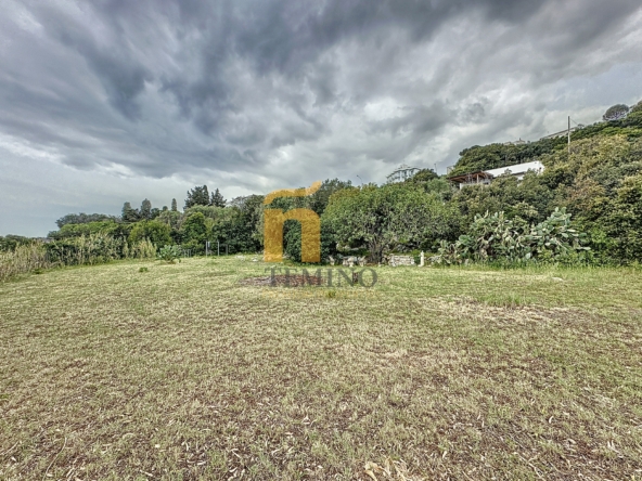 castrovillafrontemareFG-teminopremiumproperties (49)